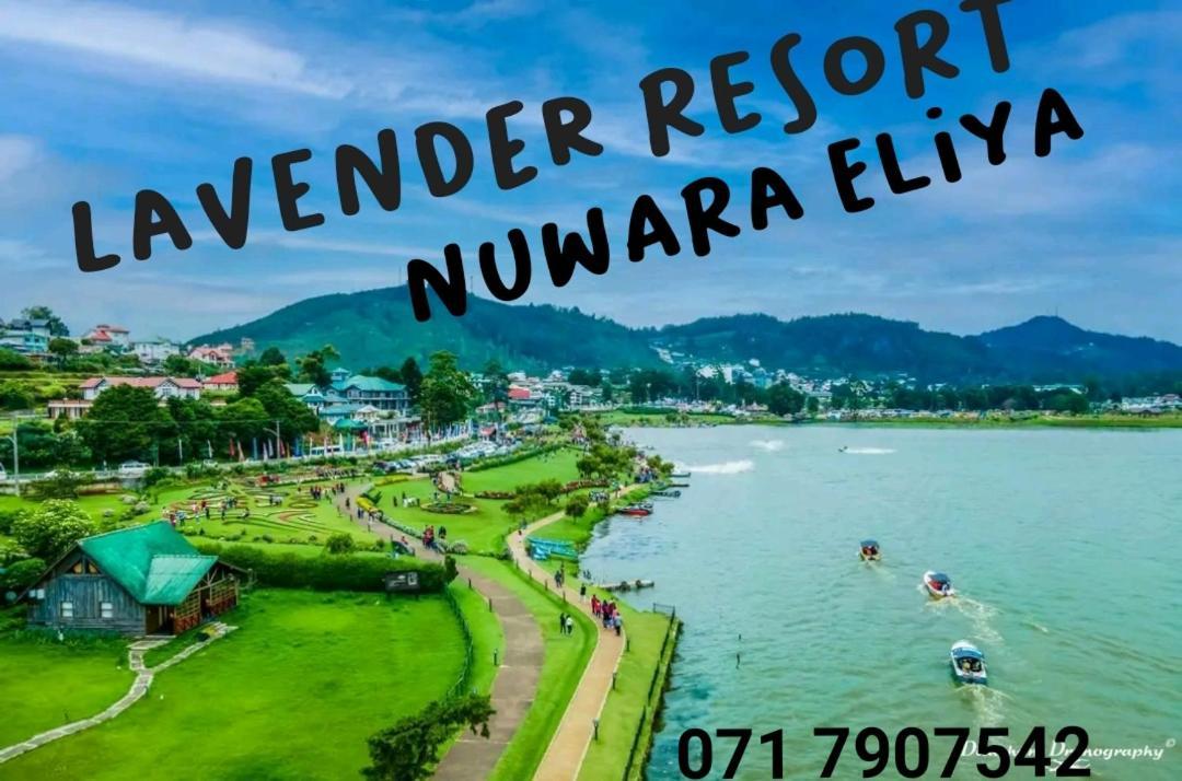 Lavender Resort Nuwara Eliya Bagian luar foto